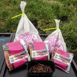 Willy Worms Live Bait Large Dendrobaenas