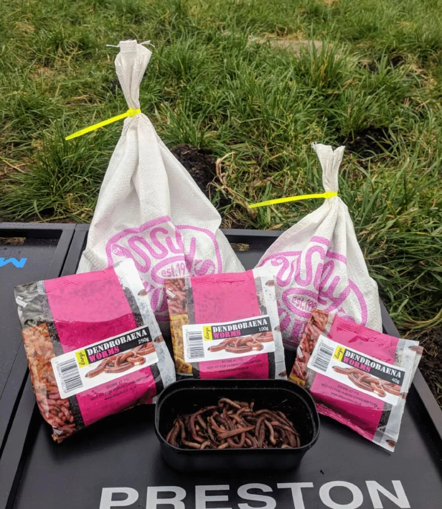 Brand new ๐ฅ Willy Worms Live Bait Large Dendrobaenas ๐ 1 Willy Worms Live Bait Large Dendrobaenas