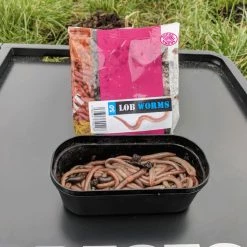 Promo ๐ Willy Worms Live Bait Lob Worms โจ 8 Willy Worms Live Bait Lob Worms