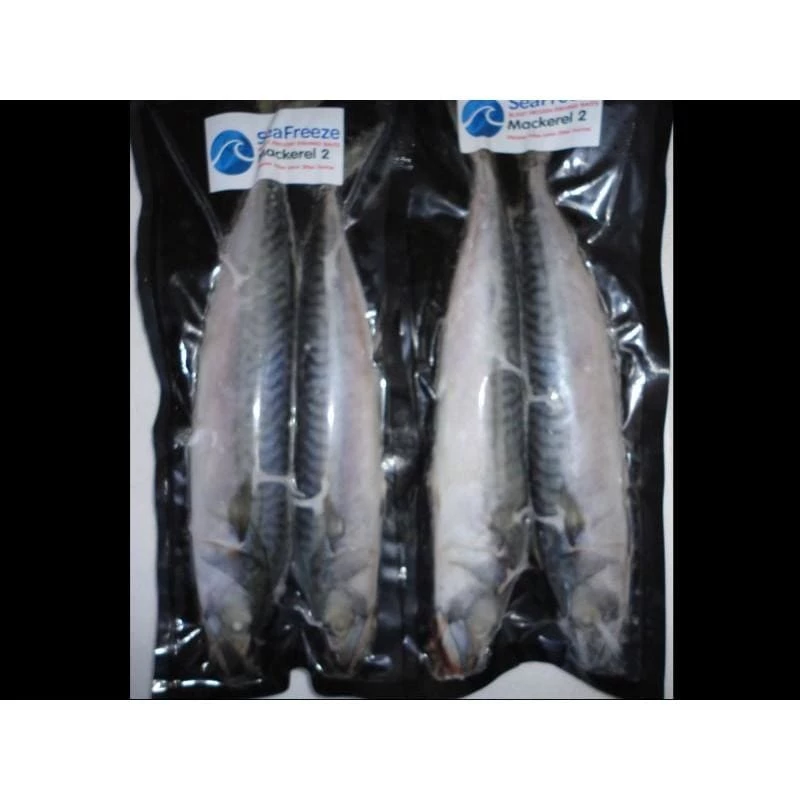 Best Sale ⌛ Willy Worms Mackerel (2 Per Pack) Fishing Bait ❤️ 1 Willy Worms Mackerel (2 Per Pack) Fishing Bait