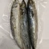 Willy Worms Mackerel Mini (3 Per Pack) Fishing Bait