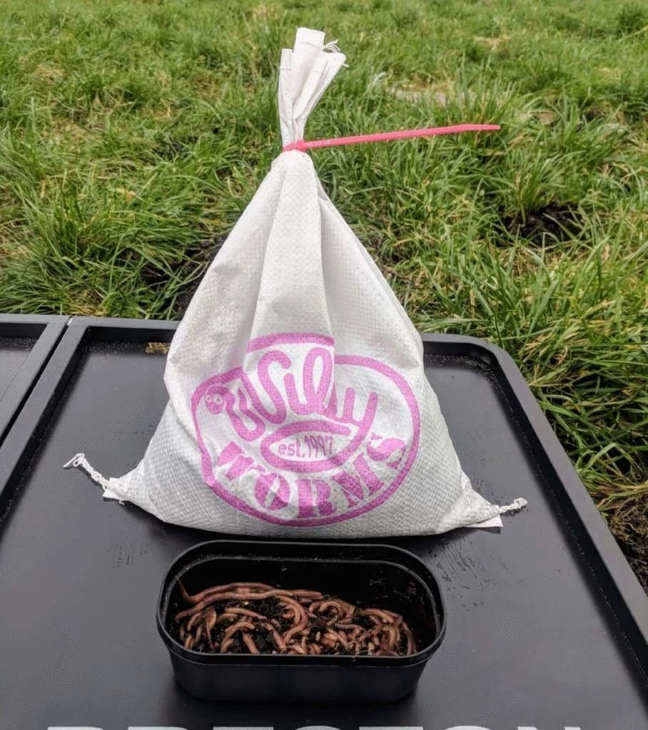 Promo ๐ Willy Worms Medium Dendrobaenas ๐คฉ 6 Willy Worms Medium Dendrobaenas