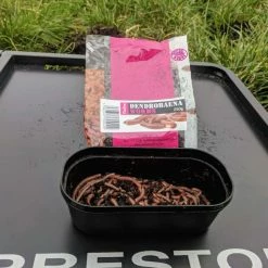 Promo ๐ Willy Worms Medium Dendrobaenas ๐คฉ 11 Willy Worms Medium Dendrobaenas