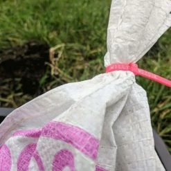 Promo ๐ Willy Worms Medium Dendrobaenas ๐คฉ 15 Willy Worms Medium Dendrobaenas