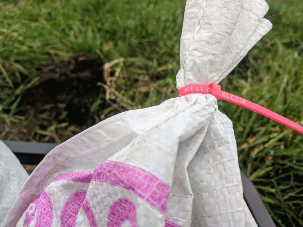 Promo ๐ Willy Worms Medium Dendrobaenas ๐คฉ 8 Willy Worms Medium Dendrobaenas