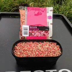 Willy Worms Mixed Pinkies Live Bait