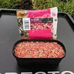 Willy Worms Mixed Pinkies Live Bait