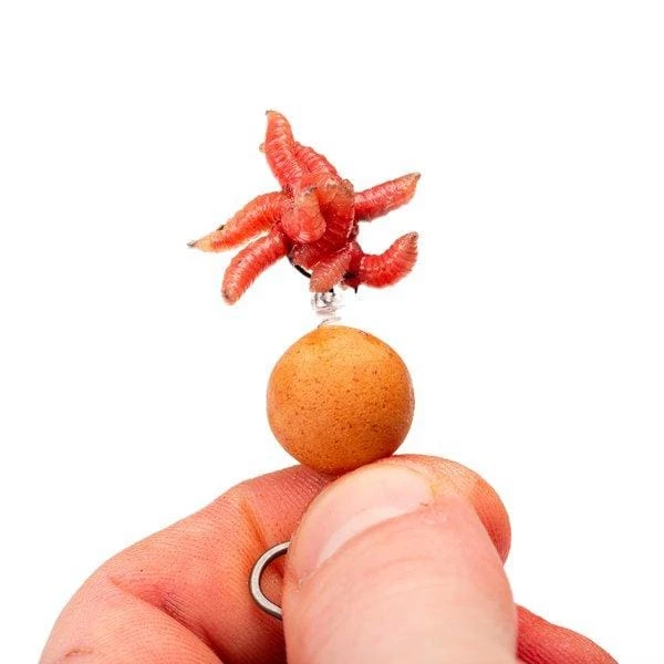 Hot Sale ๐ Carp & Barbel Nash Maggot Screw ๐ 3 Carp & Barbel Nash Maggot Screw