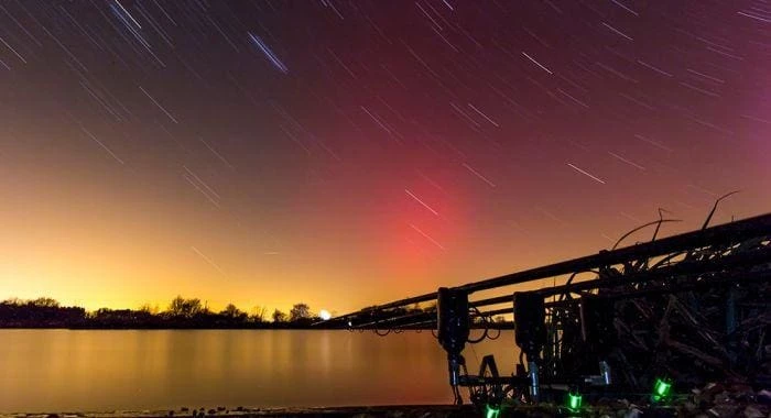 Outlet ๐ Nash Siren S5R Head โญ 3 Nash Siren S5R Head