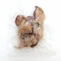 Willy Worms Fishing Bait Preserved Squid