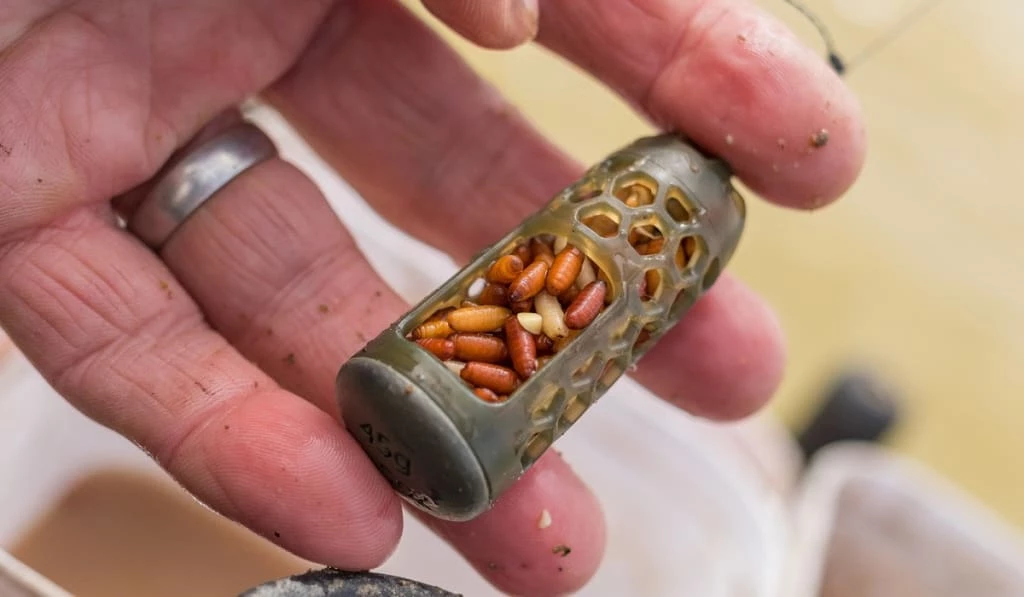 Budget ๐ Match & Coarse Preston - Absolute Window Feeder - Caged ๐ 2 Match & Coarse Preston - Absolute Window Feeder - Caged