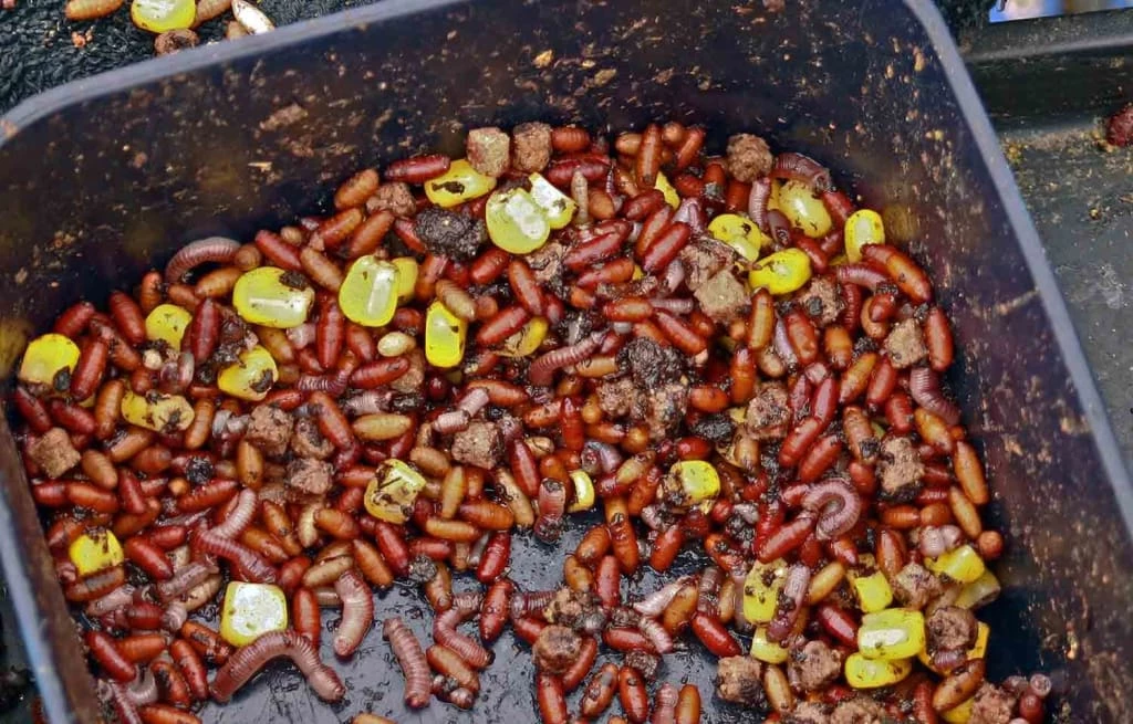 Outlet โ๏ธ Bait Accessories Preston Bait Tubs ๐ 5 Bait Accessories Preston Bait Tubs