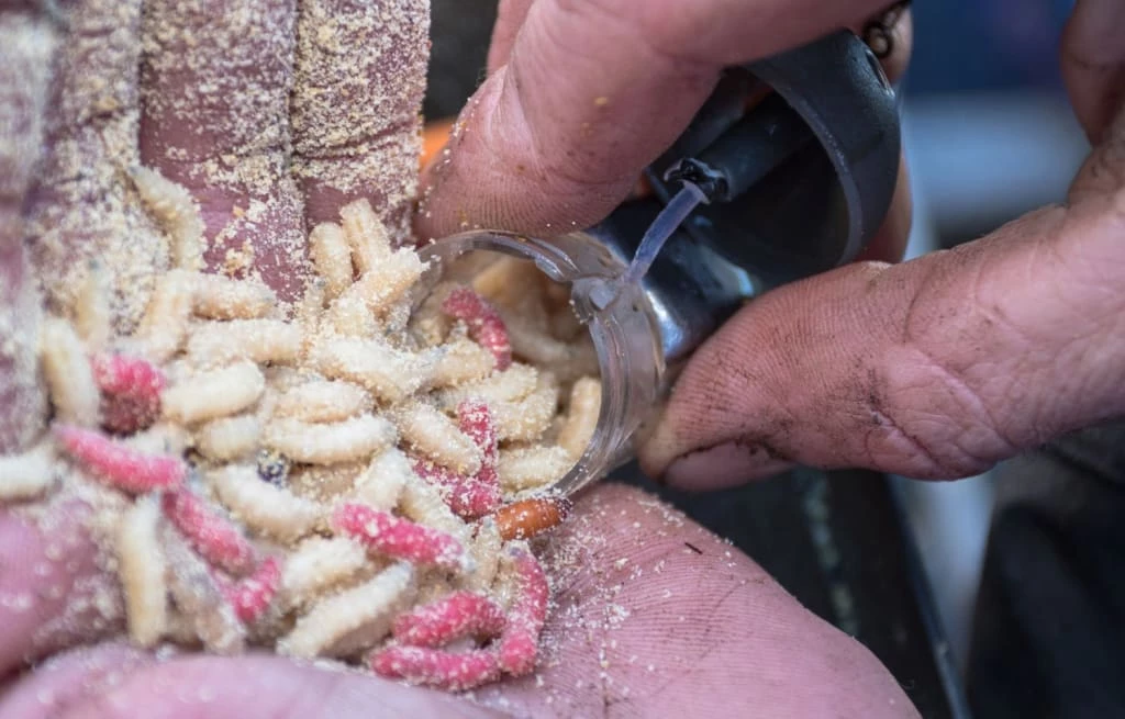 Best deal ๐ฏ Preston Clik Cap Feeders โ๏ธ 3 Preston Clik Cap Feeders