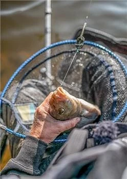 Budget โจ Match & Coarse Preston Free Flow Landing Nets ๐ฏ 3 Match & Coarse Preston Free Flow Landing Nets