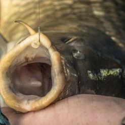 Match & Coarse Preston KKM-B Eyed Barbless Hooks