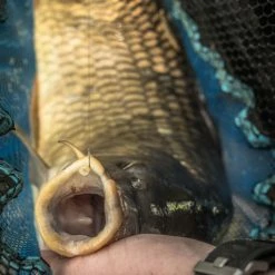 Buy ๐งจ Match & Coarse Preston Match Landing Nets โค๏ธ 5 Match & Coarse Preston Match Landing Nets