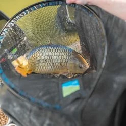 Match & Coarse Preston Quick Dry Landing Nets (NEW)