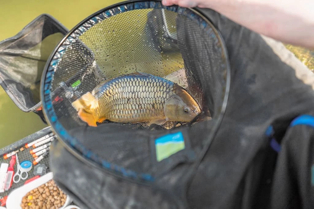 Best reviews of ๐ฅฐ Match & Coarse Preston Quick Dry Landing Nets (NEW) ๐ 2 Match & Coarse Preston Quick Dry Landing Nets (NEW)