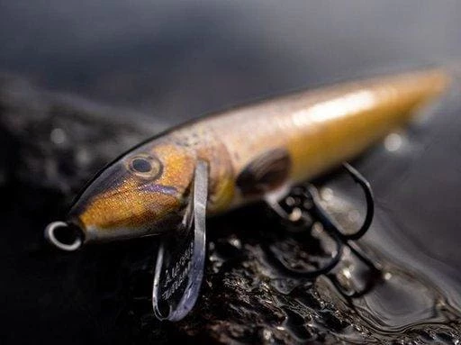 Discount ๐ฏ Fishing Bait Rapala - Floater Lure โ๏ธ 2 Fishing Bait Rapala - Floater Lure