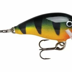 Buy ๐ฅฐ Rapala - Mini Fat Rap Lures Fishing Bait ๐ 7 Rapala - Mini Fat Rap Lures Fishing Bait