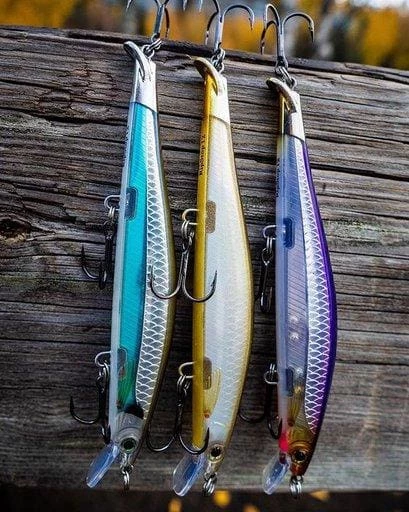 Cheapest โ๏ธ Rapala - Ripstop Lure Fishing Bait ๐ 1 Rapala - Ripstop Lure Fishing Bait