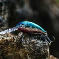 Rapala - Shad Dancer Lure