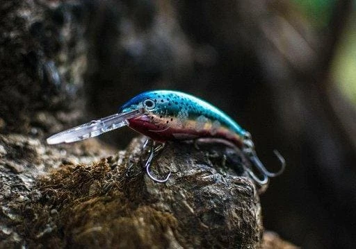 Cheapest 🧨 Rapala - Shad Dancer Lure 🧨 2 Rapala - Shad Dancer Lure