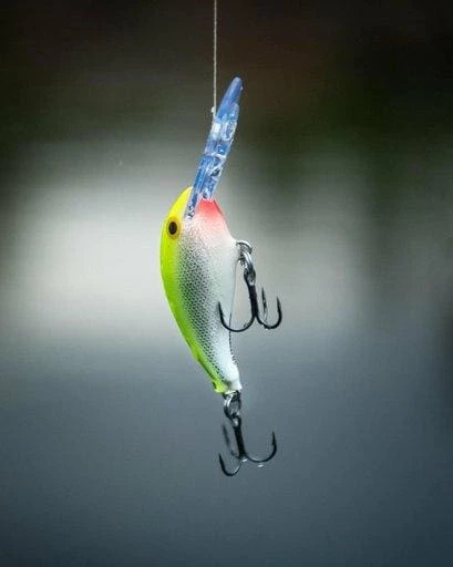 Cheapest 🧨 Rapala - Shad Dancer Lure 🧨 3 Rapala - Shad Dancer Lure