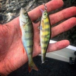 Rapala - Shadow Rap Shad Lure Fishing Bait