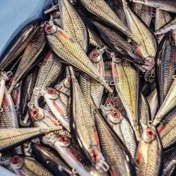 Cheap ⭐ Rapala - Super Shadow Rap Lure ❤️ 5 Rapala - Super Shadow Rap Lure