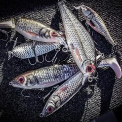 Hot Sale ๐ Rapala - X-Rap Peto Lure ๐คฉ 8 Rapala - X-Rap Peto Lure