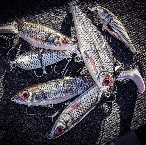 Hot Sale ๐ Rapala - X-Rap Peto Lure ๐คฉ 3 Rapala - X-Rap Peto Lure