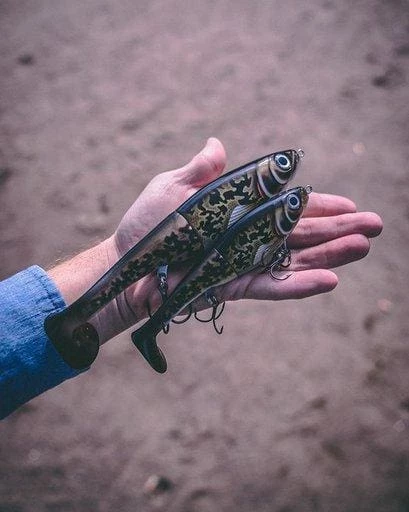 Hot Sale ๐ Rapala - X-Rap Peto Lure ๐คฉ 2 Rapala - X-Rap Peto Lure