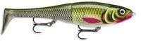 Hot Sale ๐ Rapala - X-Rap Peto Lure ๐คฉ 6 Rapala - X-Rap Peto Lure