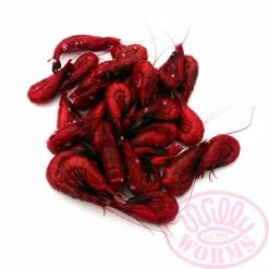 Willy Worms Red Dyed Shrimps Fishing Bait