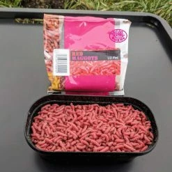 Willy Worms Live Bait Red Maggots