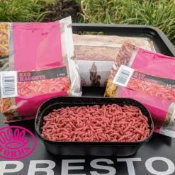 Willy Worms Live Bait Red Maggots