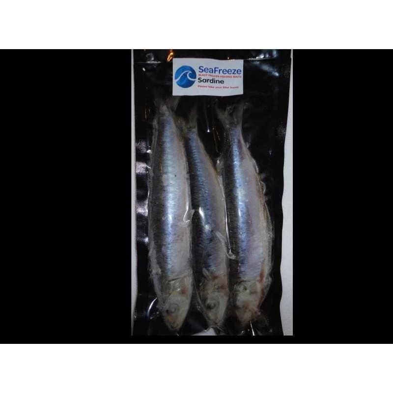 Discount ๐ Willy Worms Fishing Bait Sardines (3-4 Per Pack) ๐ 1 Willy Worms Fishing Bait Sardines (3-4 Per Pack)