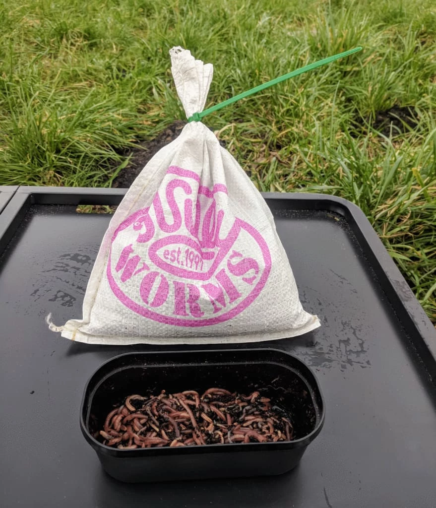 Flash Sale ๐ฅฐ Willy Worms Small Dendrobaenas ๐ฏ 4 Willy Worms Small Dendrobaenas