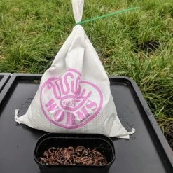 Flash Sale ๐ฅฐ Willy Worms Small Dendrobaenas ๐ฏ 10 Willy Worms Small Dendrobaenas