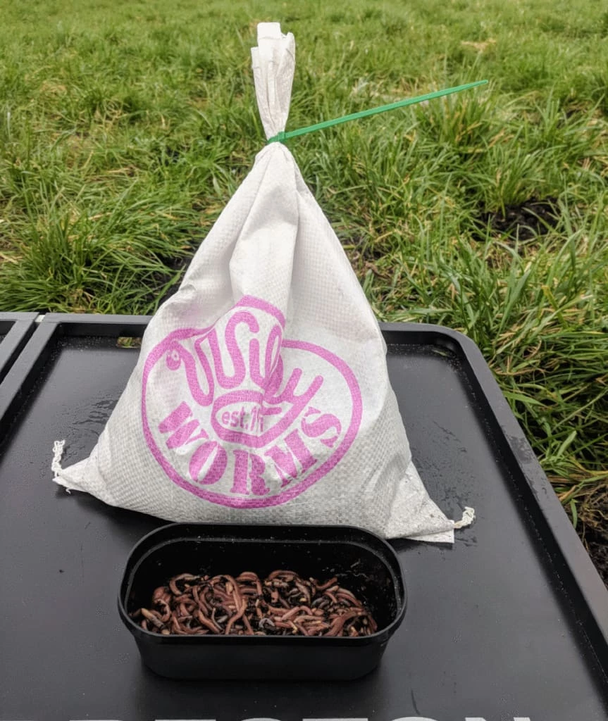 Flash Sale ๐ฅฐ Willy Worms Small Dendrobaenas ๐ฏ 5 Willy Worms Small Dendrobaenas