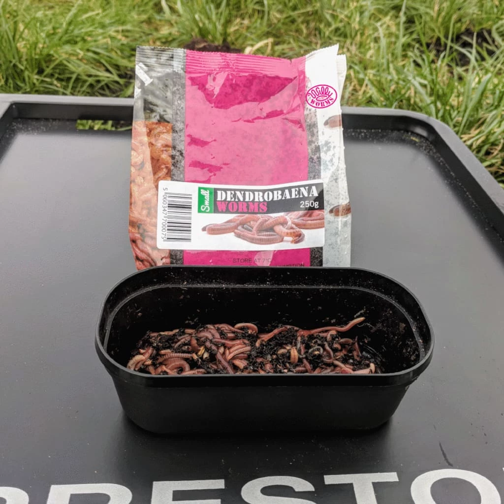 Flash Sale ๐ฅฐ Willy Worms Small Dendrobaenas ๐ฏ 6 Willy Worms Small Dendrobaenas