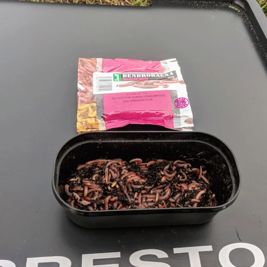 Flash Sale ๐ฅฐ Willy Worms Small Dendrobaenas ๐ฏ 2 Willy Worms Small Dendrobaenas