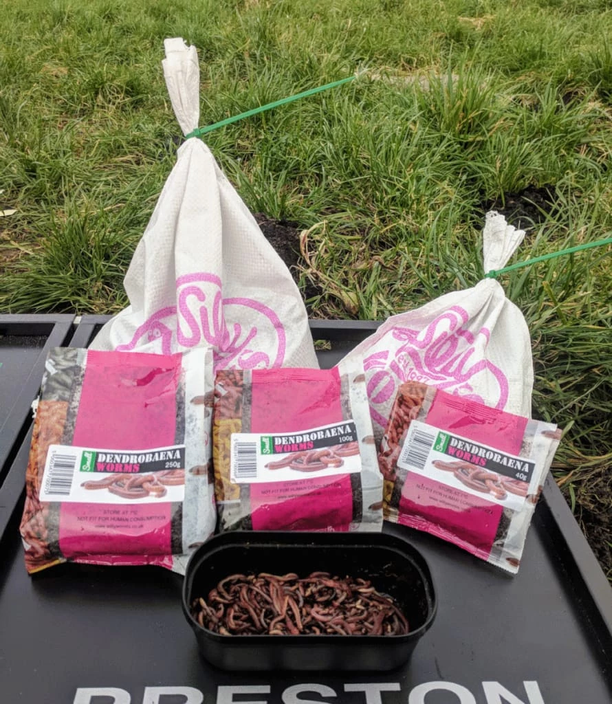 Flash Sale ๐ฅฐ Willy Worms Small Dendrobaenas ๐ฏ 1 Willy Worms Small Dendrobaenas