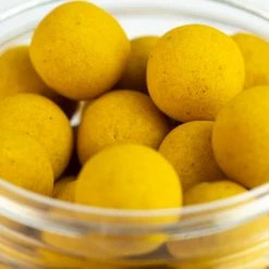 Spotted Fin - Wafters Fishing Bait