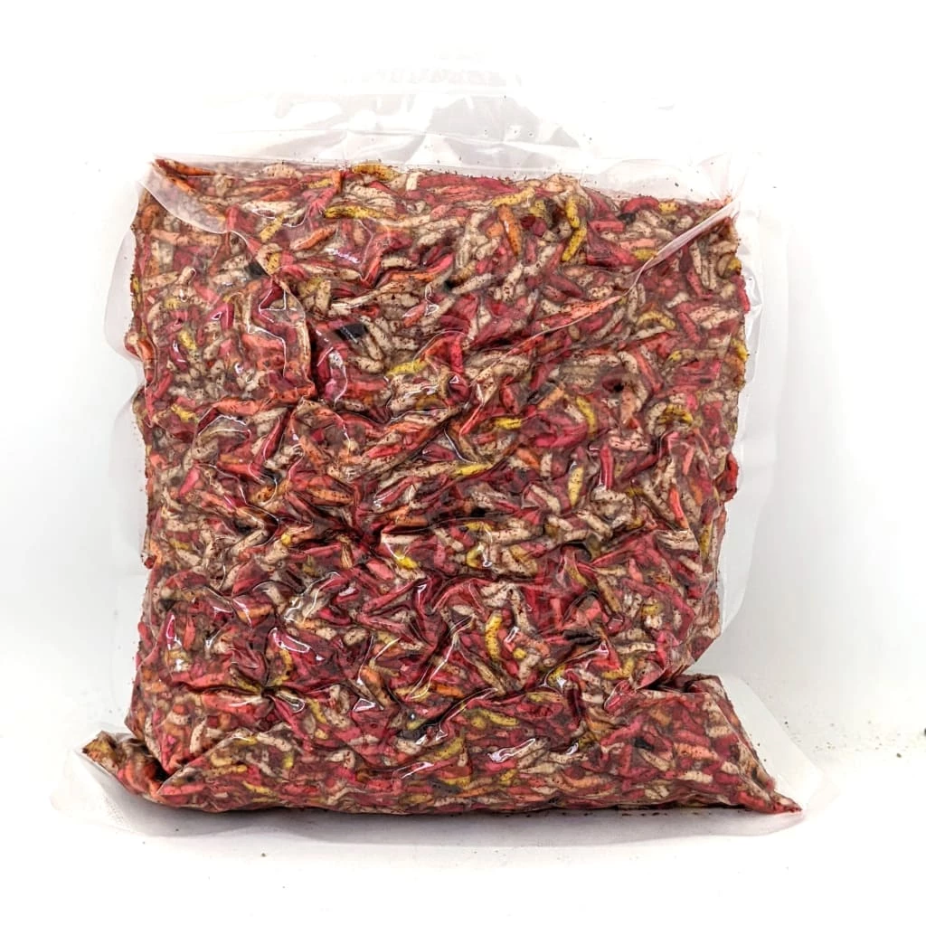 Best Sale ๐ Willy Worms Stretched Dead Maggots Live Bait โค๏ธ 1 Willy Worms Stretched Dead Maggots Live Bait