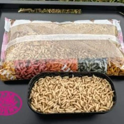 Discount ๐ Willy Worms Live Bait White Maggots ๐ฏ 7 Willy Worms Live Bait White Maggots