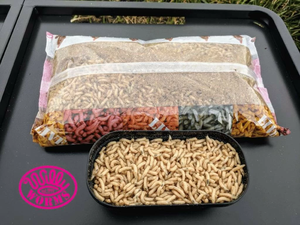 Discount ๐ Willy Worms Live Bait White Maggots ๐ฏ 4 Willy Worms Live Bait White Maggots