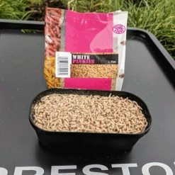 Cheap ๐ฅฐ Willy Worms Live Bait White Pinkies ๐ 6 Willy Worms Live Bait White Pinkies