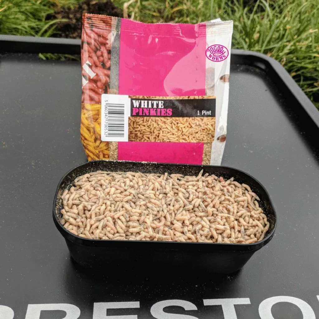 Cheap ๐ฅฐ Willy Worms Live Bait White Pinkies ๐ 3 Willy Worms Live Bait White Pinkies